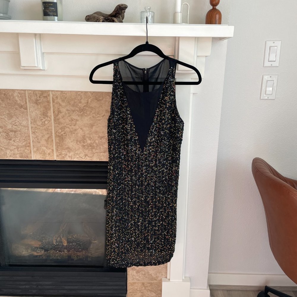 Rare Sachin + Babi Embellished Sheer Dress